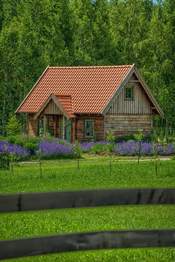 Zielone Lawki Villa Ryn  Exterior foto